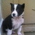 madalyna2oo9